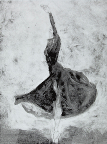 Click to enlarge view