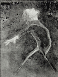 Click to enlarge view