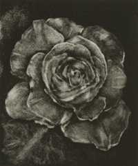 Click to enlarge view